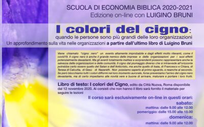 Corso on-line – “I colori del cigno: quando le persone sono più grandi delle loro organizzazioni”